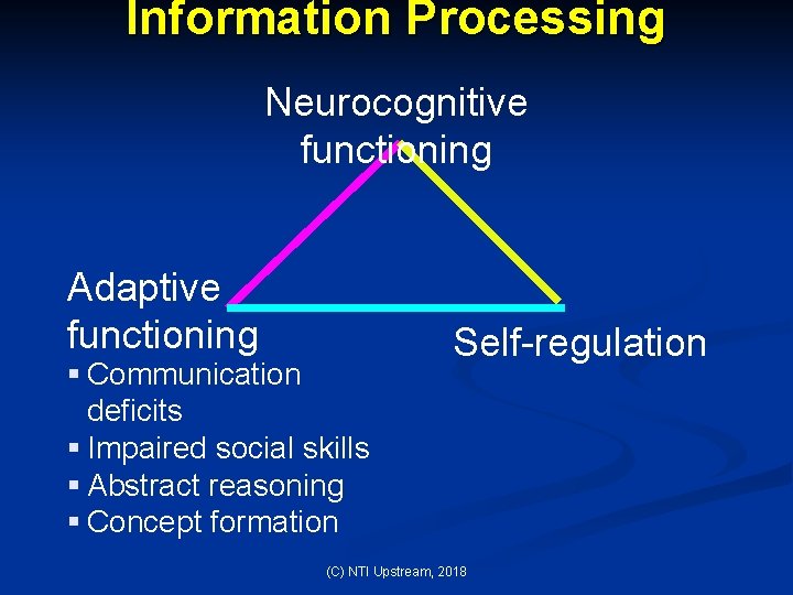 Information Processing Neurocognitive functioning Adaptive functioning § Communication deficits § Impaired social skills §