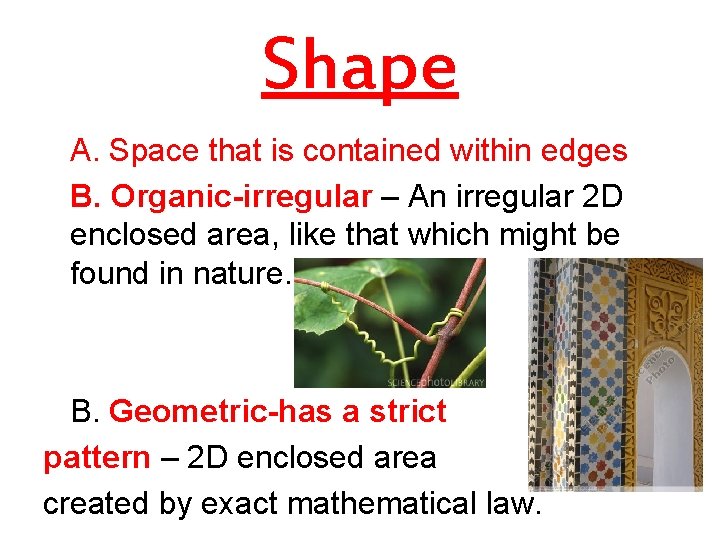 Shape A. Space that is contained within edges B. Organic-irregular – An irregular 2
