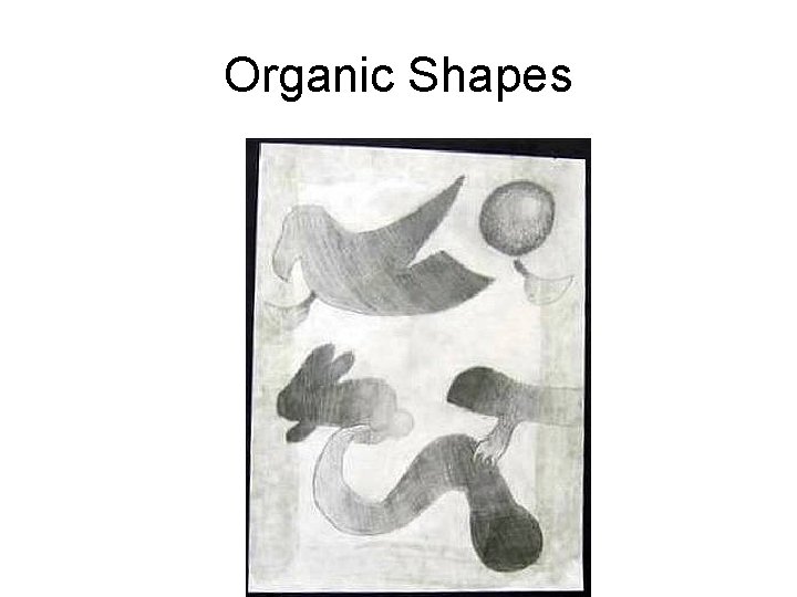 Organic Shapes 