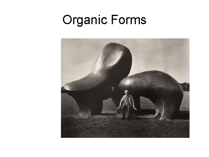 Organic Forms 