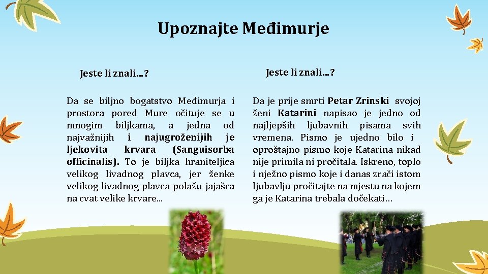Upoznajte Međimurje Jeste li znali…? Da se biljno bogatstvo Međimurja i prostora pored Mure Upoznajte Međimurje Jeste li znali…? Da se biljno bogatstvo Međimurja i prostora pored Mure