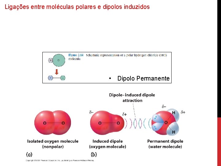 Ligações entre moléculas polares e dipolos induzidos • Dipolo Permanente 