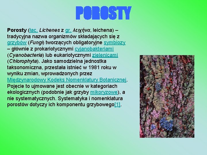 POROSTY Porosty (łac. Lichenes z gr. λειχήνα, leichena) – tradycyjna nazwa organizmów składających się