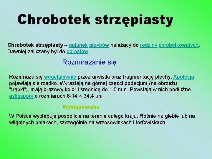 Chrobotek strzępiasty – gatunek grzybów należący do rodziny chrobotkowatych. Dawniej zaliczany był do porostów.