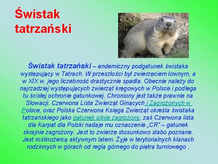 Świstak tatrzański – endemiczny podgatunek świstaka występujący w Tatrach. W przeszłości był zwierzęciem łownym,