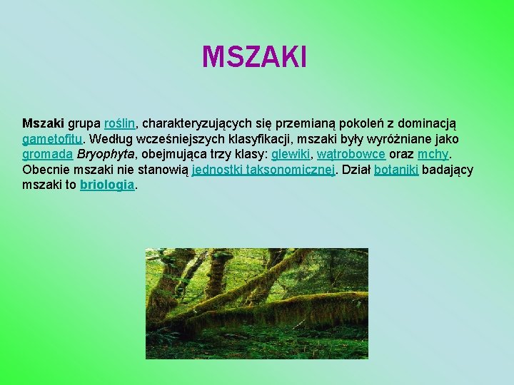 MSZAKI Mszaki grupa roślin, charakteryzujących się przemianą pokoleń z dominacją gametofitu. Według wcześniejszych klasyfikacji,