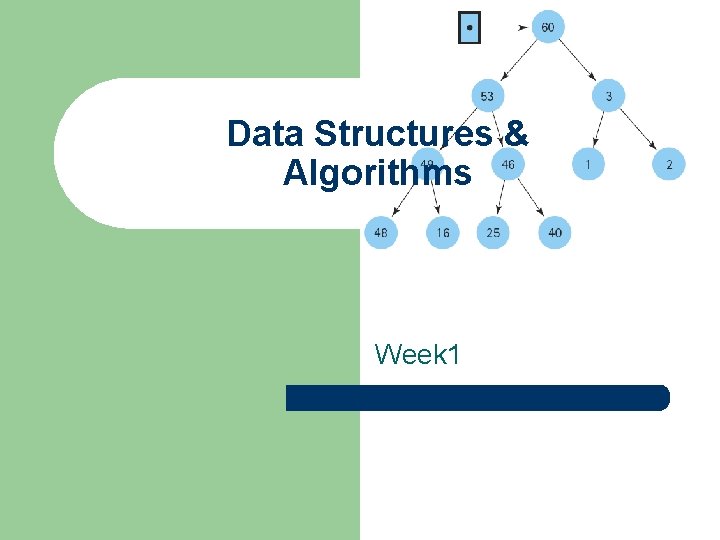 Data Structures & Algorithms Week 1 