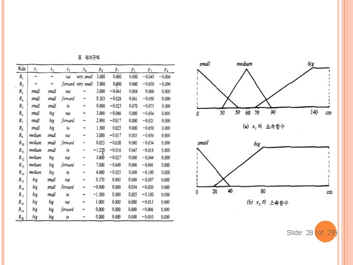 Slide 28 (of 29) 