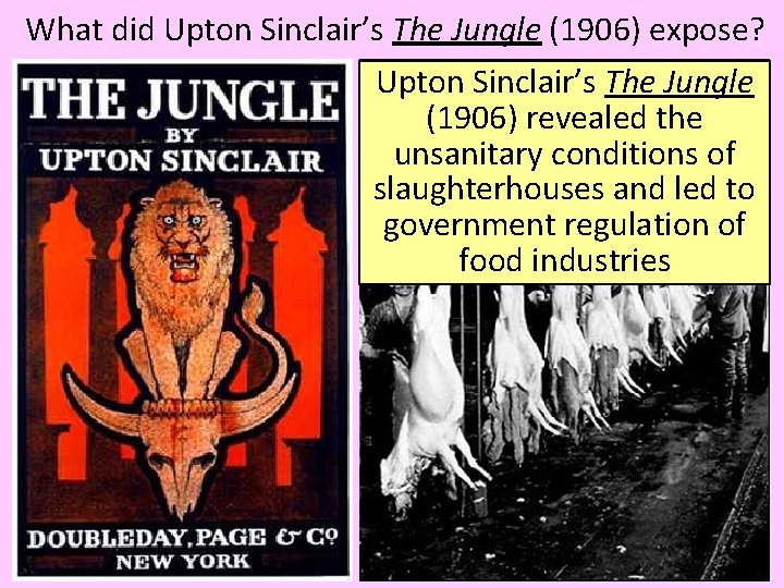 What did Upton Sinclair’s The Jungle (1906) expose? Upton Sinclair’s The Jungle (1906) revealed