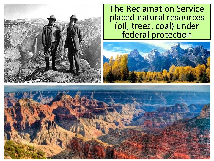 The Reclamation Service placed natural resources (oil, trees, coal) under federal protection 