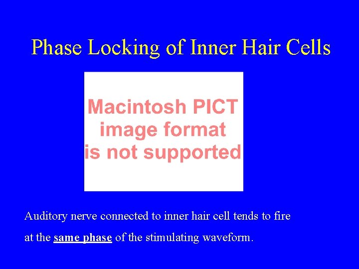 Phase Locking of Inner Hair Cells Auditory nerve connected to inner hair cell tends