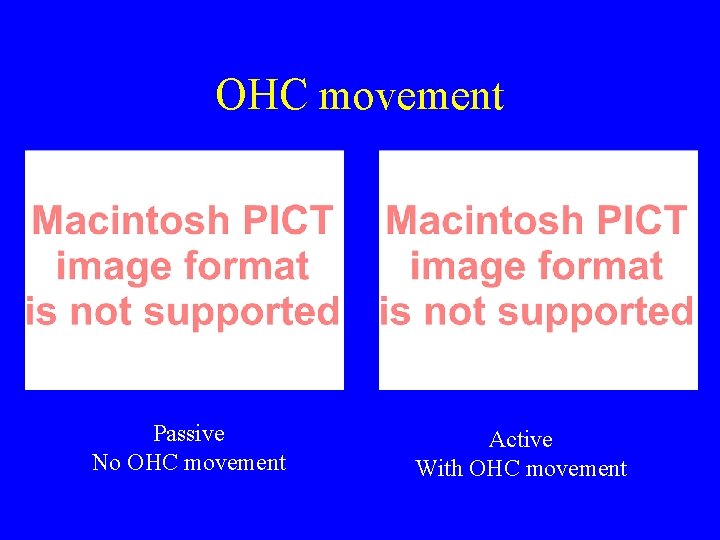 OHC movement Passive No OHC movement Active With OHC movement 