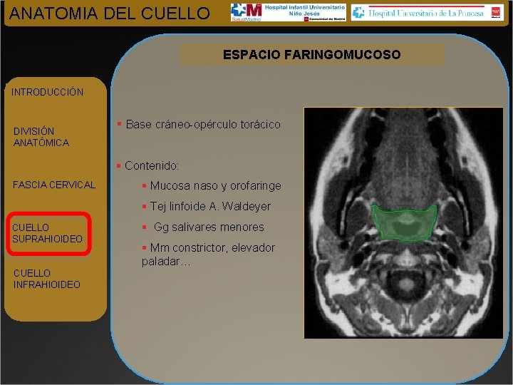 ANATOMIA DEL CUELLO ESPACIO FARINGOMUCOSO INTRODUCCIÓN DIVISIÓN ANATÓMICA § Base cráneo-opérculo torácico § Contenido: