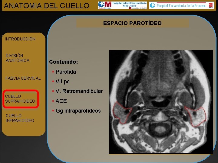 ANATOMIA DEL CUELLO ESPACIO PAROTÍDEO INTRODUCCIÓN DIVISIÓN ANATÓMICA Contenido: § Parótida FASCIA CERVICAL CUELLO