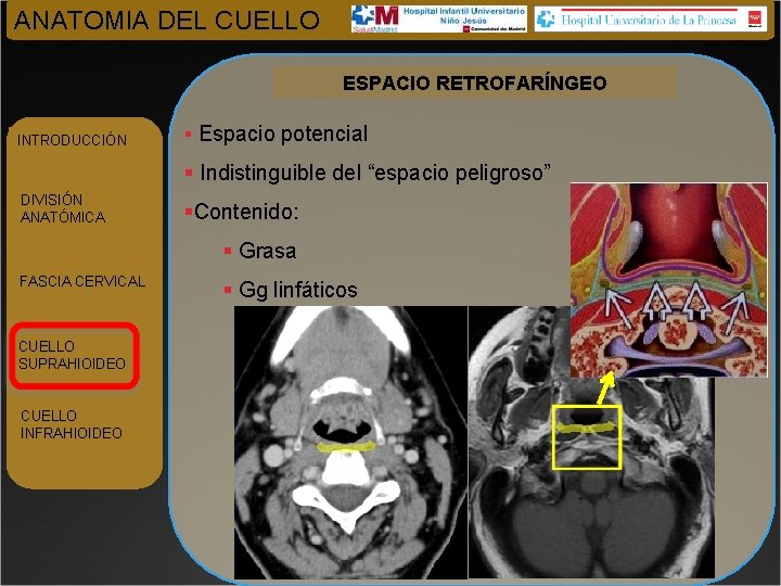 ANATOMIA DEL CUELLO ESPACIO RETROFARÍNGEO INTRODUCCIÓN § Espacio potencial § Indistinguible del “espacio peligroso”