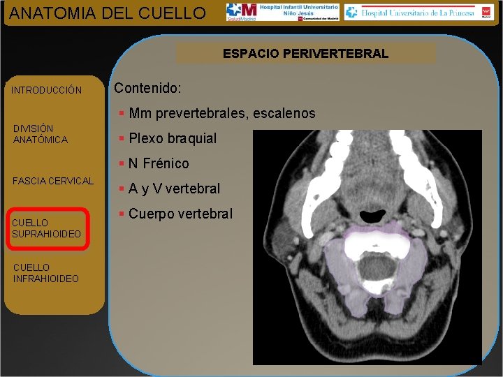 ANATOMIA DEL CUELLO ESPACIO PERIVERTEBRAL INTRODUCCIÓN Contenido: § Mm prevertebrales, escalenos DIVISIÓN ANATÓMICA §