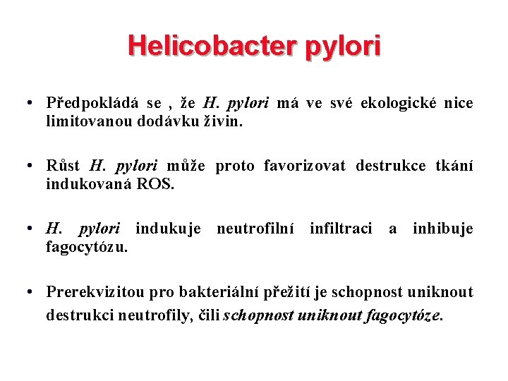 Helicobacter pylori • Předpokládá se , že H. pylori má ve své ekologické nice