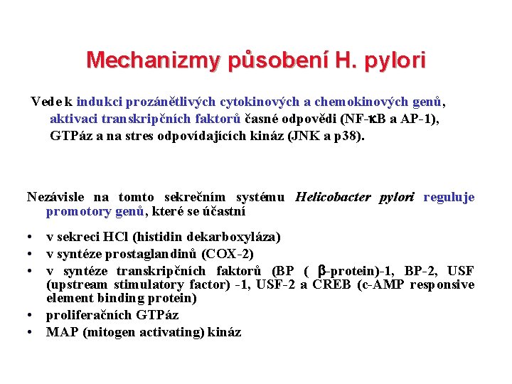 Mechanizmy působení H. pylori Vede k indukci prozánětlivých cytokinových a chemokinových genů, aktivaci transkripčních
