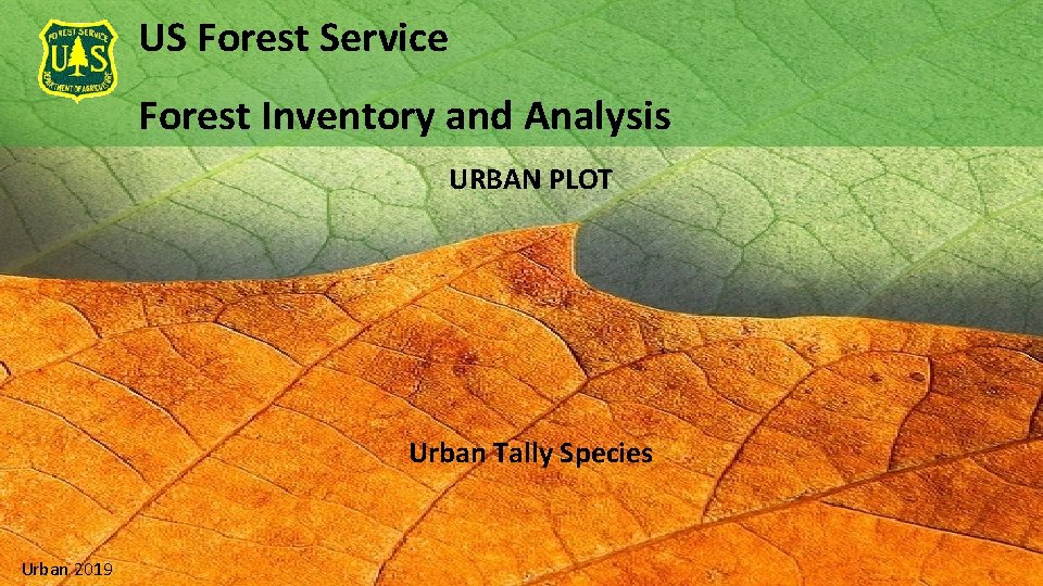 US Forest Service Forest Inventory and Analysis URBAN PLOT Urban Tally Species Urban 2019