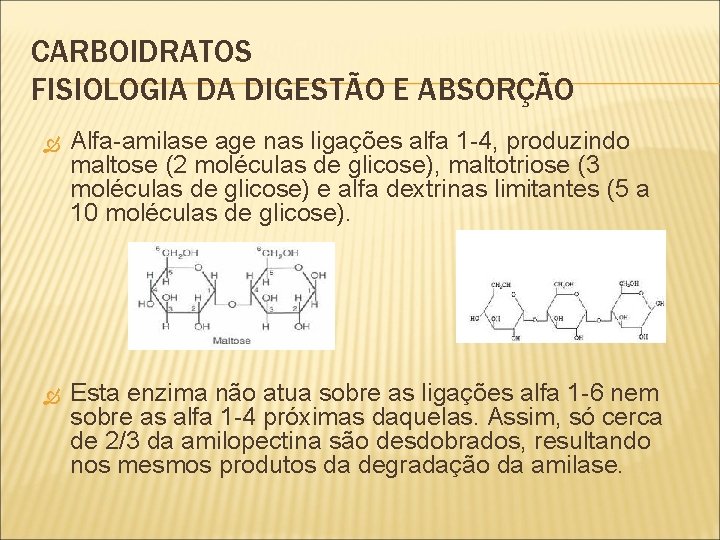 CARBOIDRATOS FISIOLOGIA DA DIGESTÃO E ABSORÇÃO Alfa-amilase age nas ligações alfa 1 -4, produzindo