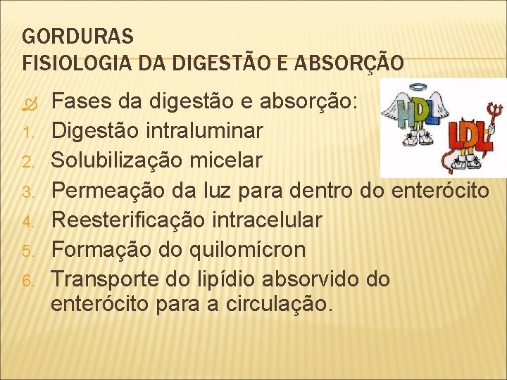 GORDURAS FISIOLOGIA DA DIGESTÃO E ABSORÇÃO 1. 2. 3. 4. 5. 6. Fases da