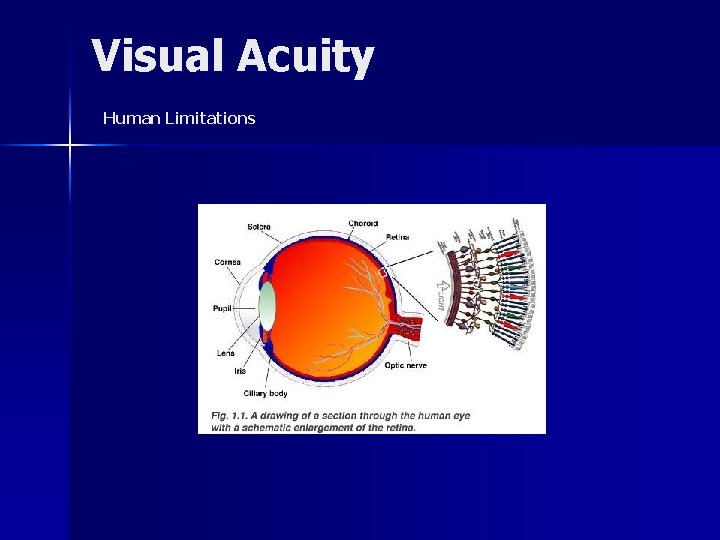 Visual Acuity Human Limitations 