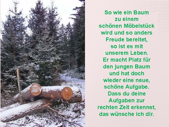 So wie ein Baum zu einem schönen Möbelstück wird und so anders Freude bereitet,