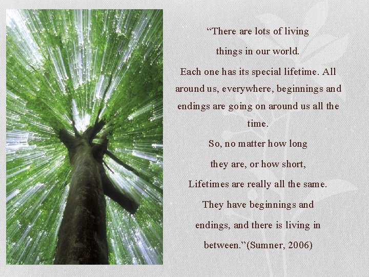 “There are lots of living things in our world. Each one has its special