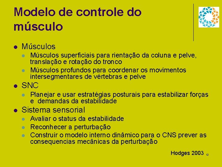 Modelo de controle do músculo l Músculos l l l SNC l l Músculos