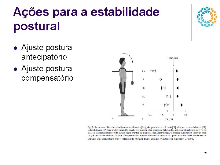Ações para a estabilidade postural l l Ajuste postural antecipatório Ajuste postural compensatório 16