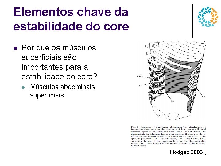 Elementos chave da estabilidade do core l Por que os músculos superficiais são importantes