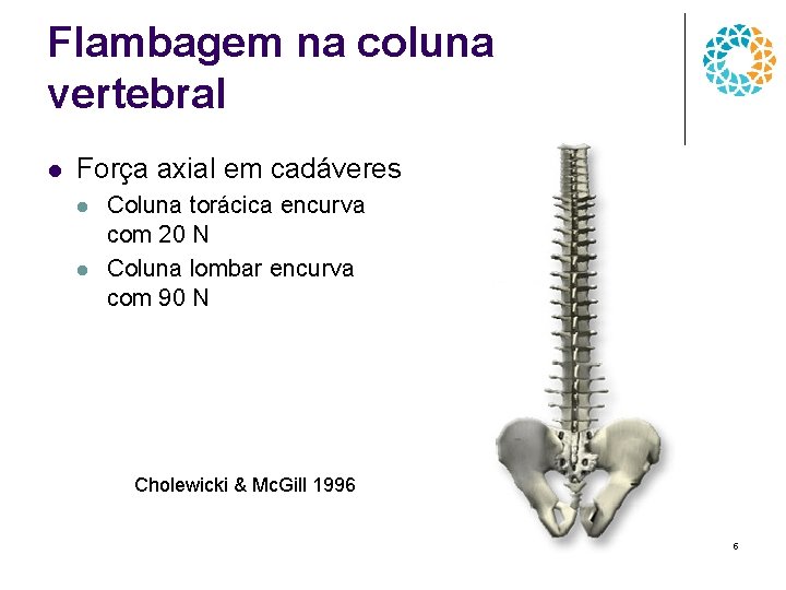 Flambagem na coluna vertebral l Força axial em cadáveres l l Coluna torácica encurva
