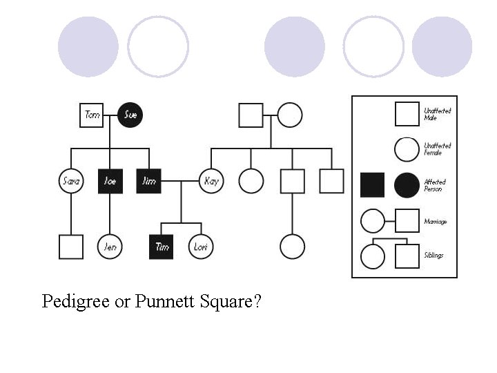 Pedigree or Punnett Square? 