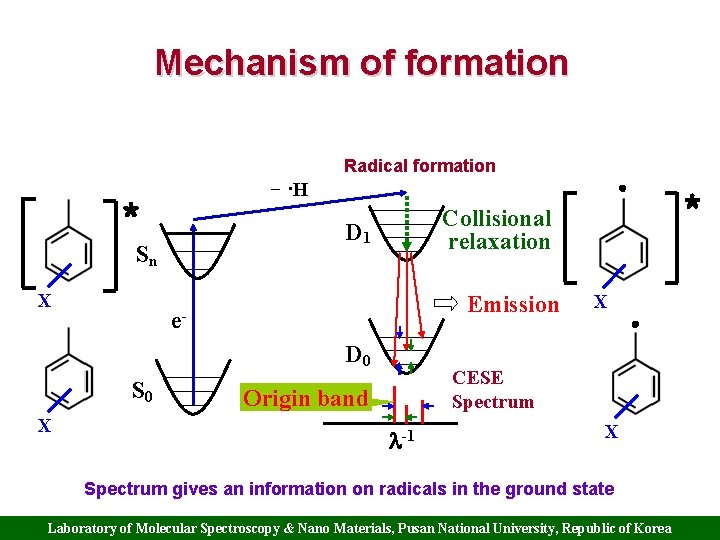 Mechanism of formation Radical formation − ·H * D 1 Sn X Emission e.