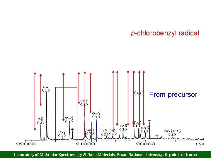 p-chlorobenzyl radical From precursor Laboratory of Molecular Spectroscopy & Nano Materials, Pusan National University,