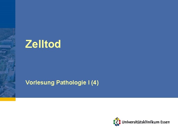 Zelltod Vorlesung Pathologie I (4) 