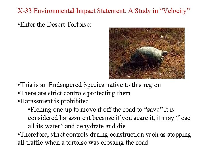 X-33 Environmental Impact Statement: A Study in “Velocity” • Enter the Desert Tortoise: •