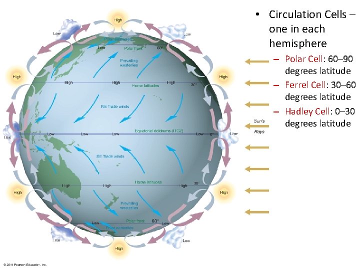  • Circulation Cells – one in each hemisphere – Polar Cell: 60– 90