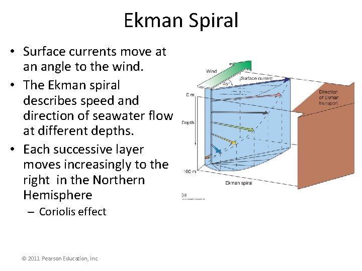 Ekman Spiral • Surface currents move at an angle to the wind. • The