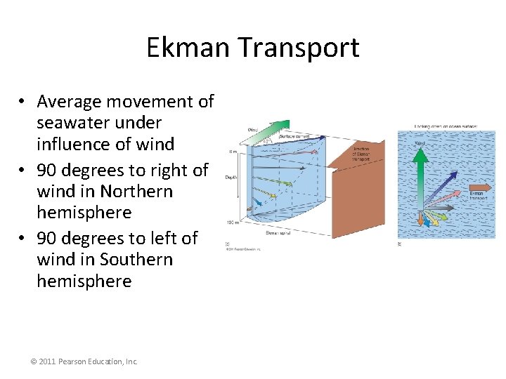 Ekman Transport • Average movement of seawater under influence of wind • 90 degrees