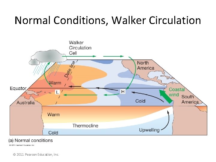 Normal Conditions, Walker Circulation © 2011 Pearson Education, Inc. 