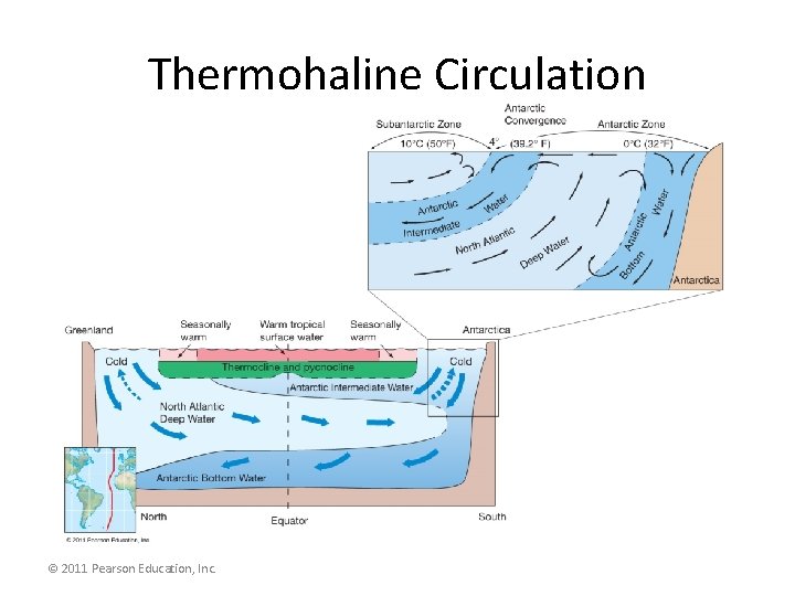 Thermohaline Circulation © 2011 Pearson Education, Inc. 