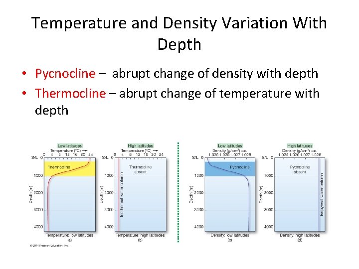 Temperature and Density Variation With Depth • Pycnocline – abrupt change of density with