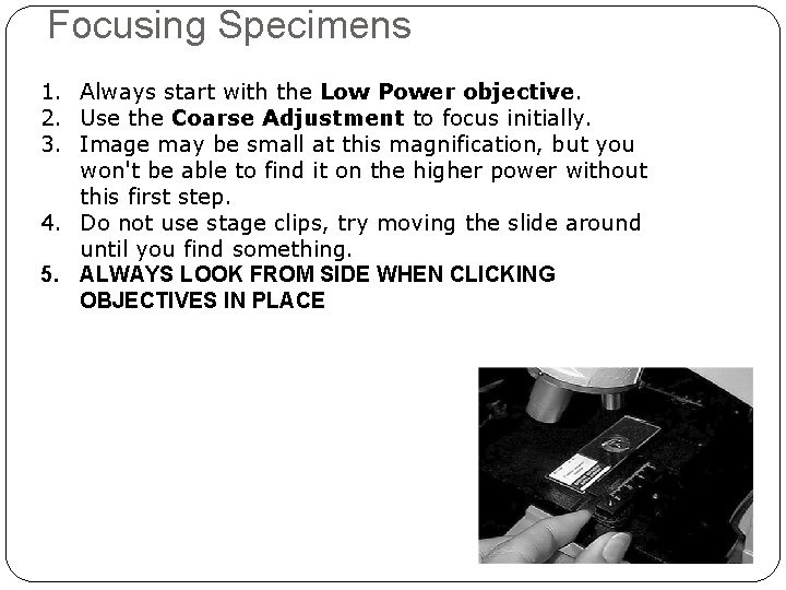 Focusing Specimens 1. Always start with the Low Power objective. 2. Use the Coarse