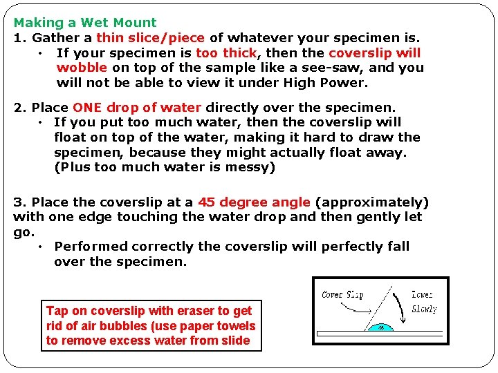 Making a Wet Mount 1. Gather a thin slice/piece of whatever your specimen is.