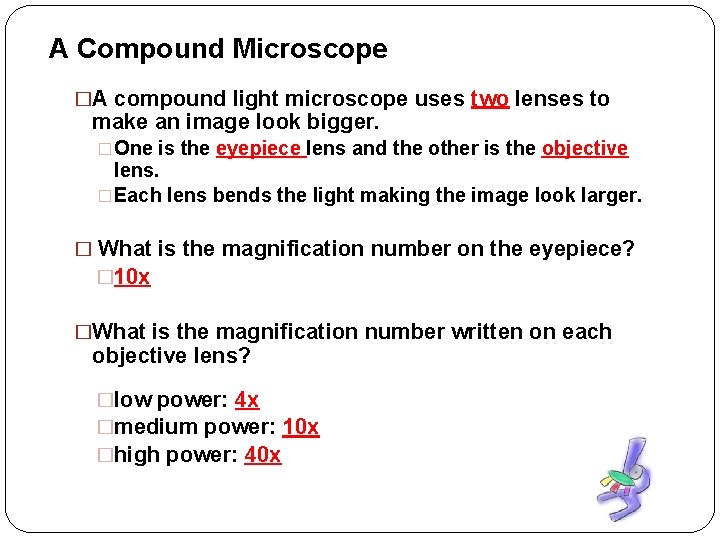 A Compound Microscope �A compound light microscope uses two lenses to make an image