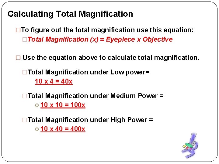 Calculating Total Magnification �To figure out the total magnification use this equation: �Total Magnification