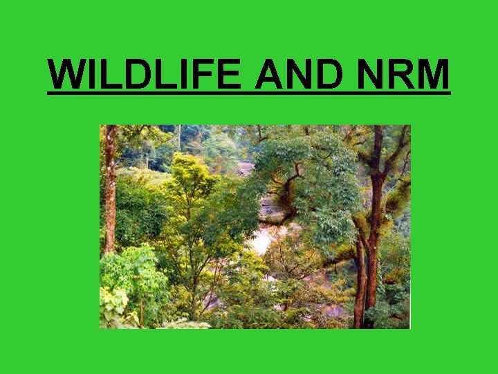 WILDLIFE AND NRM 