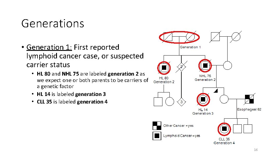 Generations • Generation 1: First reported lymphoid cancer case, or suspected carrier status •