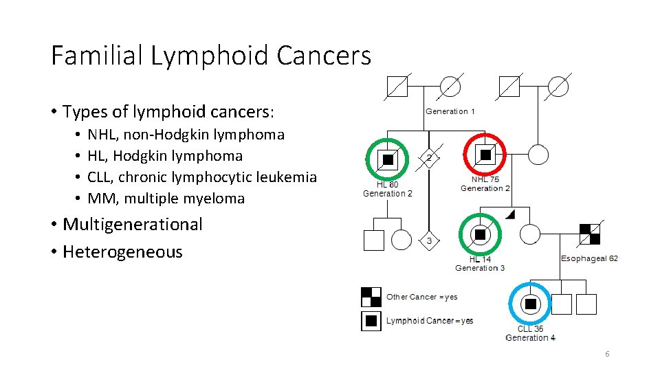 Familial Lymphoid Cancers • Types of lymphoid cancers: • • NHL, non-Hodgkin lymphoma HL,